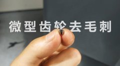  小微齒輪去毛刺清理，適合磨粒流加工！ 